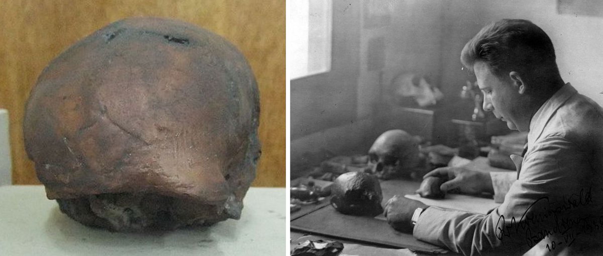 TetZoo's tweet photo. New at Tet Zoo.... Curtis, Swisher and Lewin's Java Man of 2000: Hominin-Themed Books, Part 1 https://t.co/WJKti3LRsk #hominins #hominids #paleoanthropology #palaeoanthropology #JavaMan #Homoerectus #fossils https://t.co/yDk461L1Gy