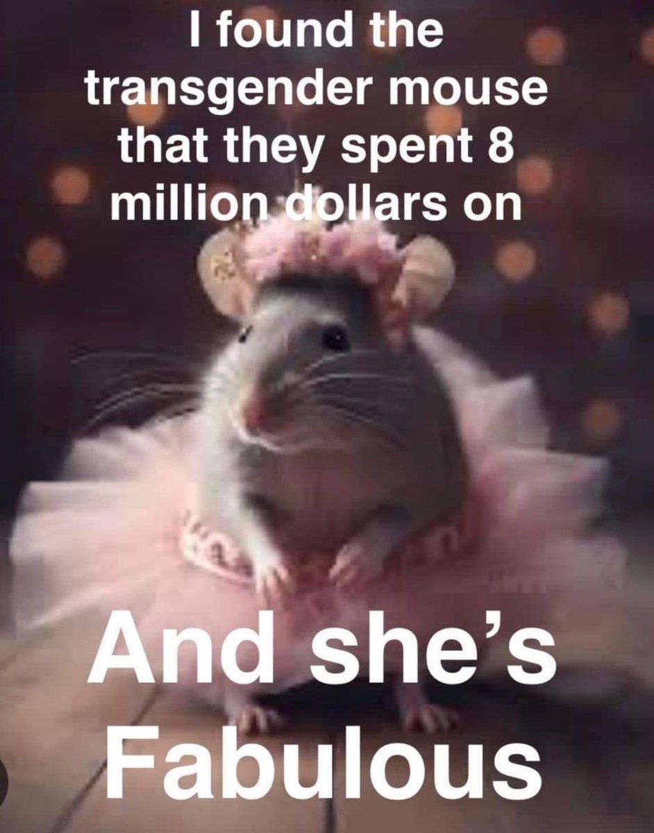 minnie2264's tweet image. Transgender or Transgenic ⁉️
#trumpisstupid