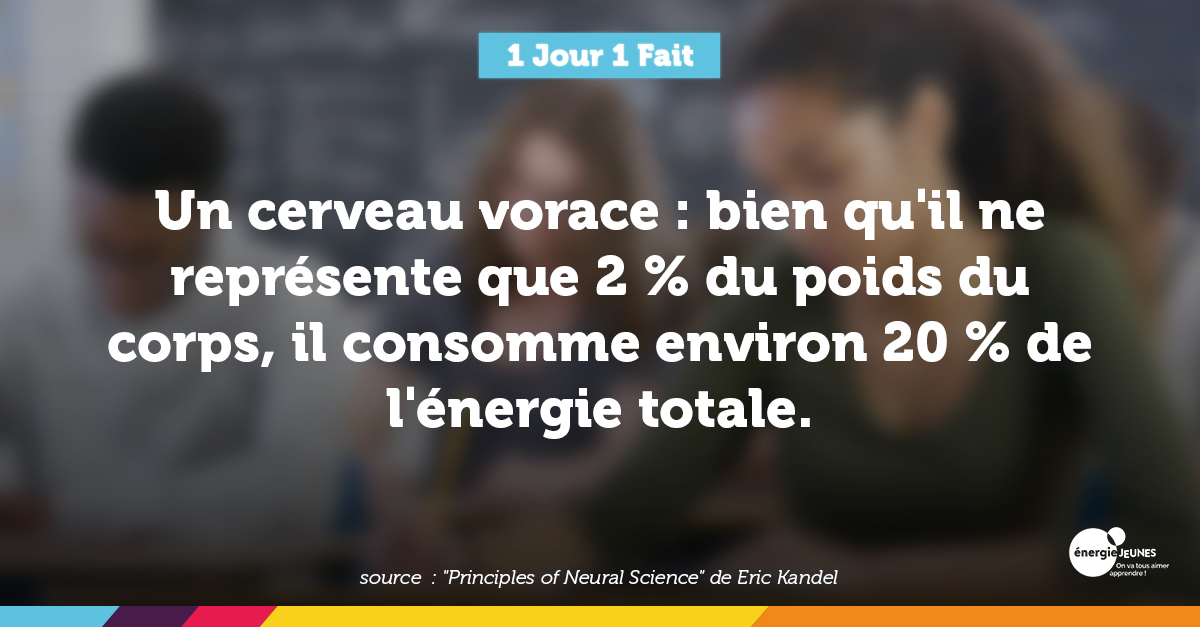 ✨ 1 Jour 1 Fait sur le cerveau ! Découvrez un fait sur le cerveau, à l'occasion de la 27e édition de la #semaineducerveau visant à sensibiliser sur l'importance de la recherche sur le cerveau.

Plusieurs évènements sont prévus dans toute la France : ⬇️ semaineducerveau.fr/programme-mani…