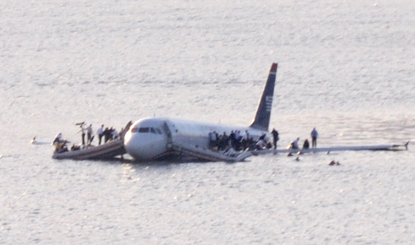 kengillgren's tweet photo. [From the Archives]  Of Geese, Wooden Shoes and Soft Landings
Apparently even a single goose can still take down a jetliner--nature just keeps getting in our way; another reminder to change our way."
https://t.co/yUegfgOwmQ https://t.co/VwcAtD1YIj