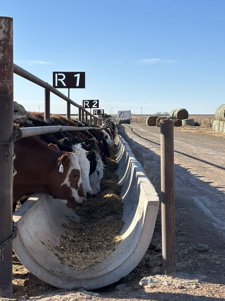 Our customers told us over and over that invoicing was the worst part of their month, often taking several hours. With Redbook what used to be a 2 day process for one of our customers now takes 10 minutes.