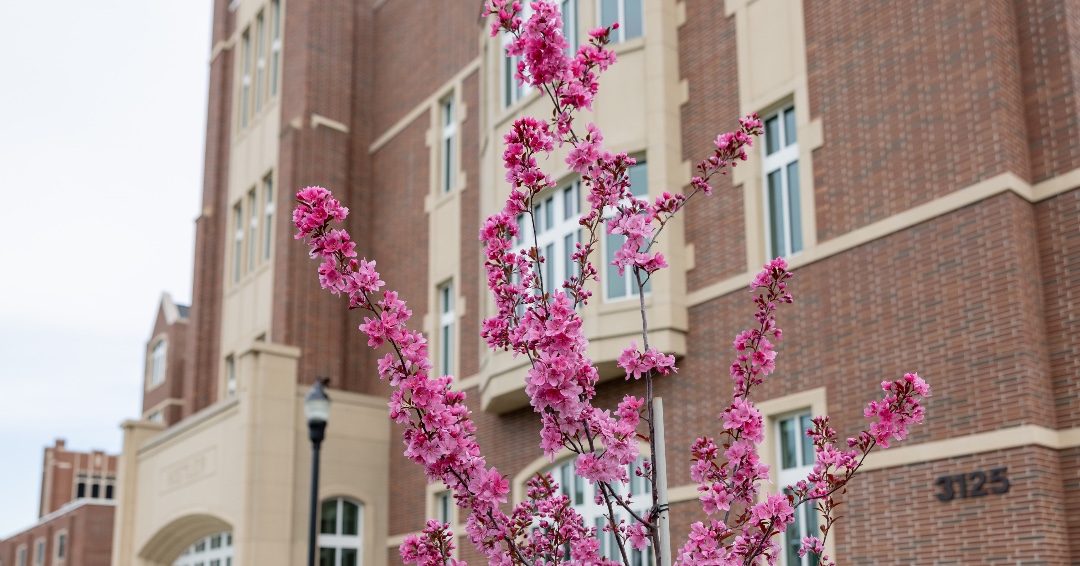 Spring Break is here! 💐 Whether you're networking, traveling, or recharging for the next big opportunity, make the most of your break! 

#UNDproud #UNDbiz