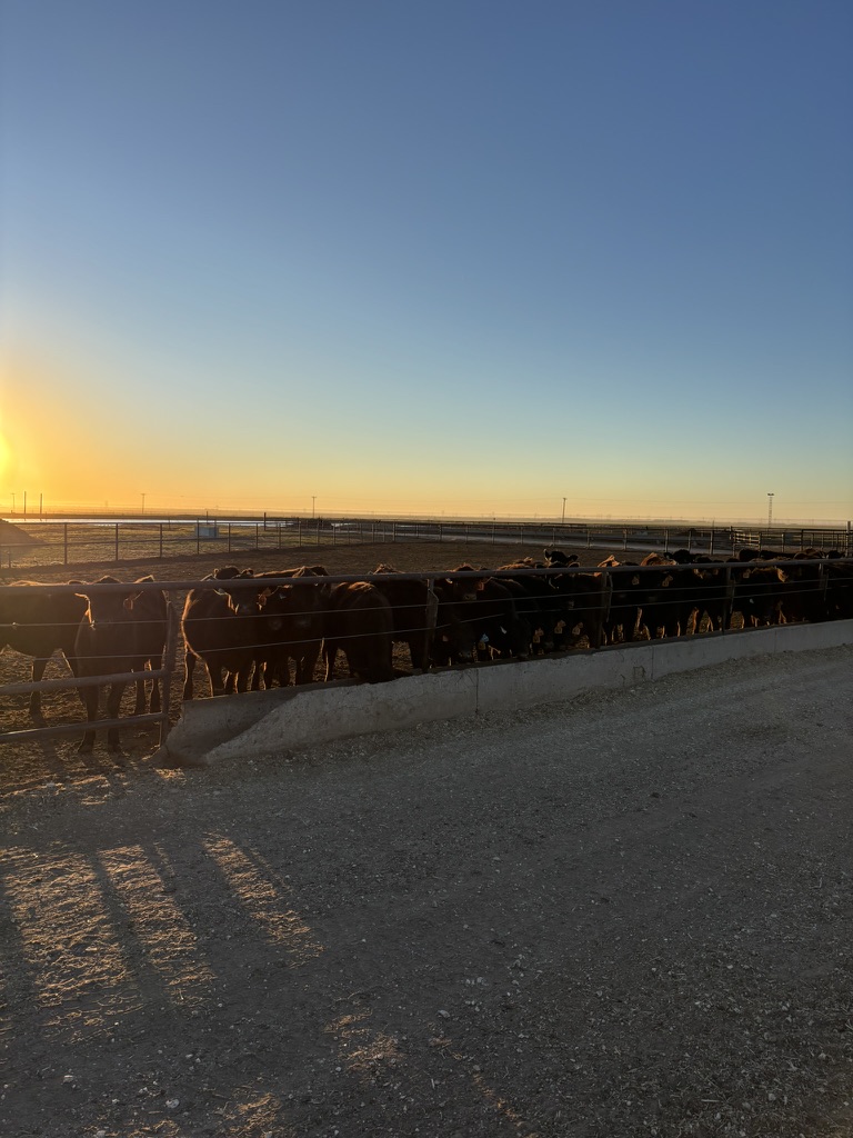 With invoices and payments handled directly in Redbook, you will have full Accounts Receivable visibility in a simple, easy to use format.