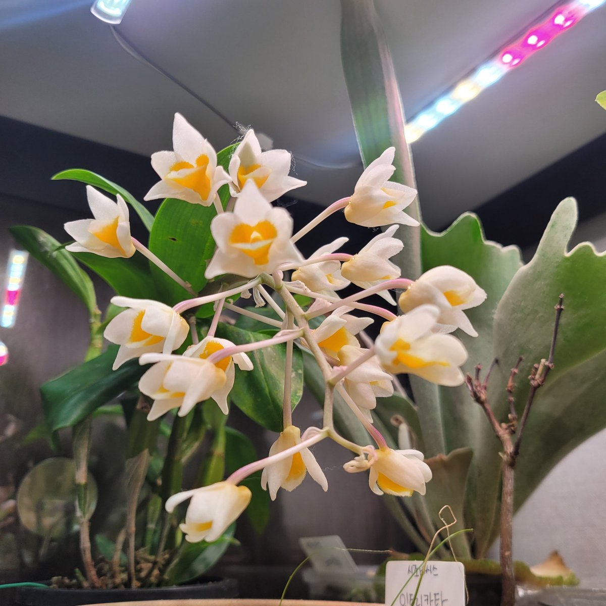 동동수 (@ggom_30) on Twitter photo 