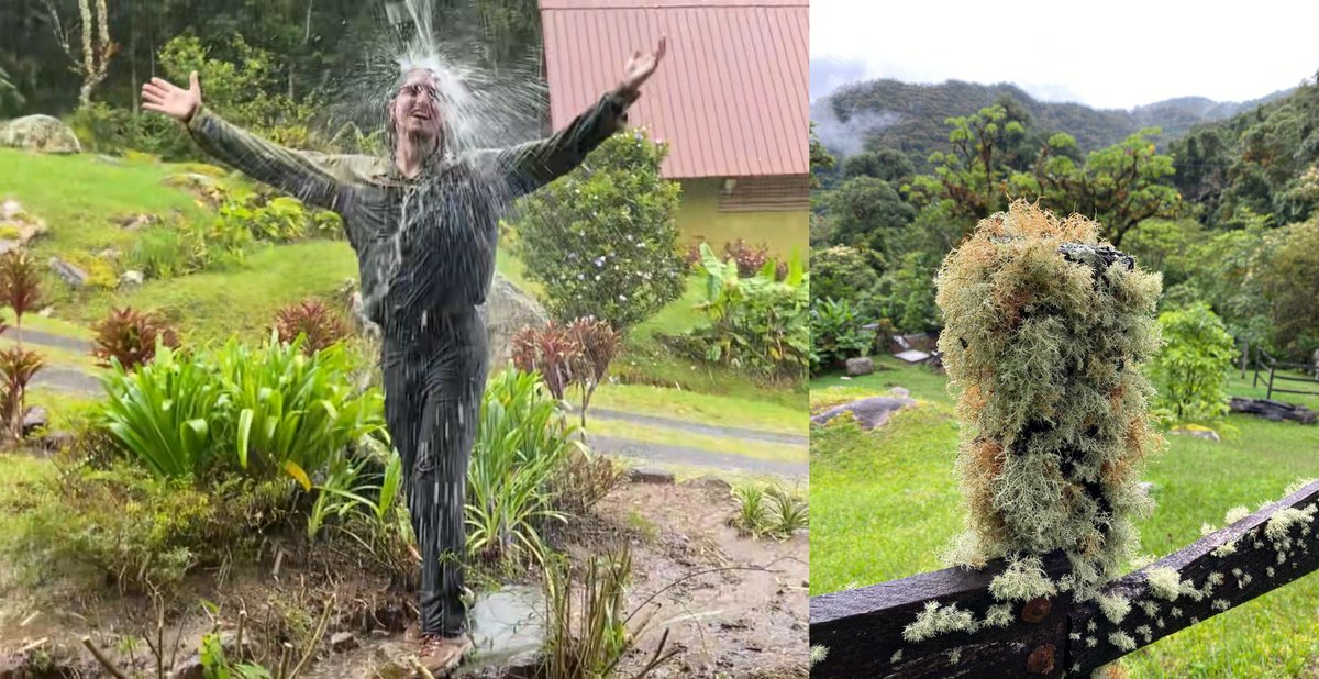 How to manage humidity in tropical countries
(bookmark this for later)

Let's start with the beginning:

Why is it so humid in tropical countries?
- It rains a lot
- Outside humidity is constantly above 70% and often 100%

Why are the houses and apartments humid?

- It is