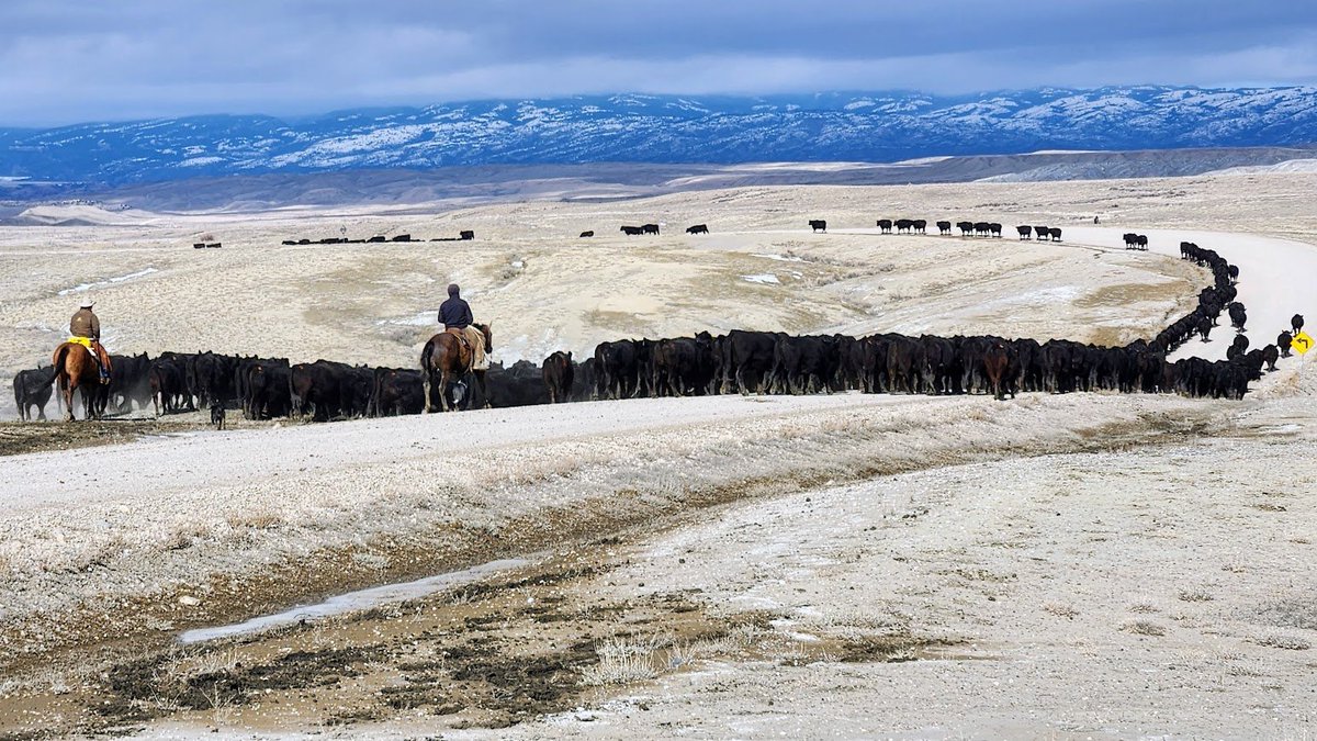 Brett Crosby tweet media