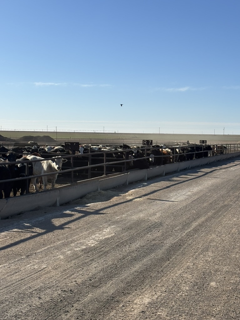 Pulling together information for your bank every month is the opposite of fun. We have worked to build the most common reports that you will need in your monthly borrowing base