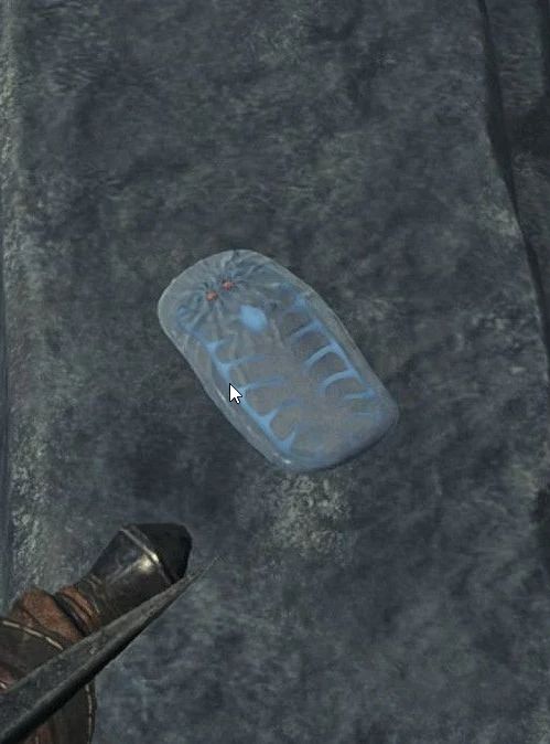 OfficiallyToth's tweet image. Merci à tous pour votre mobilisation d'hier soir ! On l'a eut cette Glalimace ! On l'a eut ! Meilleure faune endémique avec les Plalimaces &amp;lt;3

#MonsterHunterWilds #MHWilds