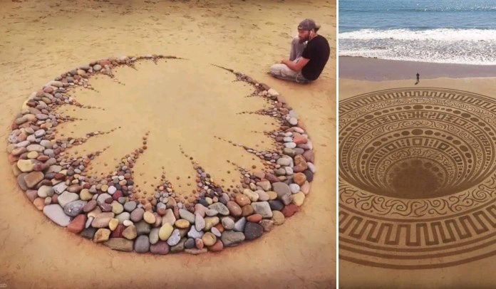 Terri Nakamura tweet media