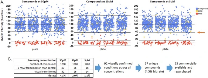 Dr. Wipf collaborated with the Schools of Medicine and Public Health to study two drug targets which could reduce the levels of the nuclear lamina protein, Lamin B1, which is associated with neurological disorders. Read more in Scientific Reports: zurl.co/MyP4g
