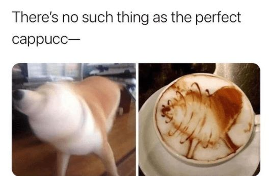 WholesomeMeme's tweet photo. https://t.co/hBrWScvzqa