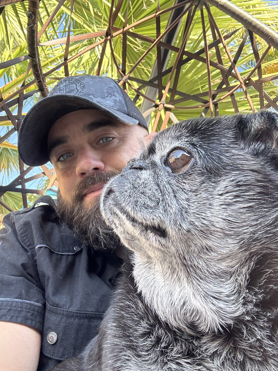 CocothePug2 tweet media