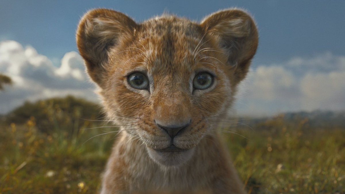 Simba350's tweet image. do you like Kiara?