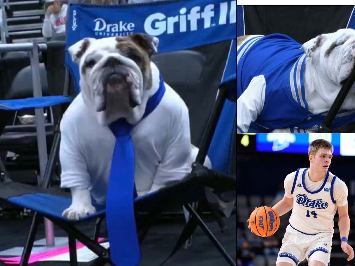 barstoolsports's tweet photo. Drake's Mascot Is The Star Of Championship Week (Team Is Also One Of The More Ridiculous Stories In The Sport This Year)
https://t.co/ESBVdrbB8w https://t.co/Flb9daRtez