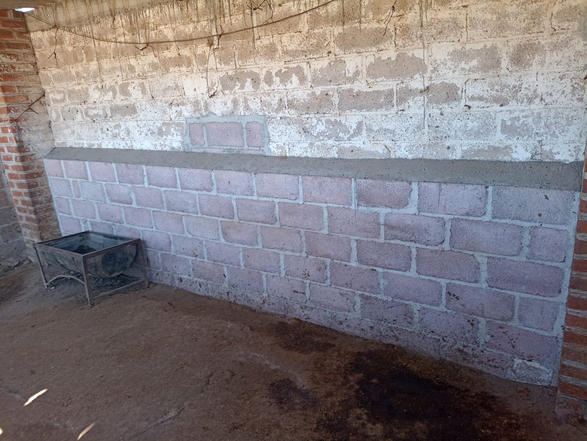 Burrolandia_mx's tweet photo. ACTUALIZACIÓN DE ACONTECIMIENTOS

No hemos detenido ningun día la búsqueda de nuestros burritos, desafortunadamente seguimos sin tener noticias de su paradero. 😓

Continuamos la búsqueda y reforzando nuestras instalaciones, les agradecemos infinitamente todo su apoyo. https://t.co/MMF4xLvHq7
