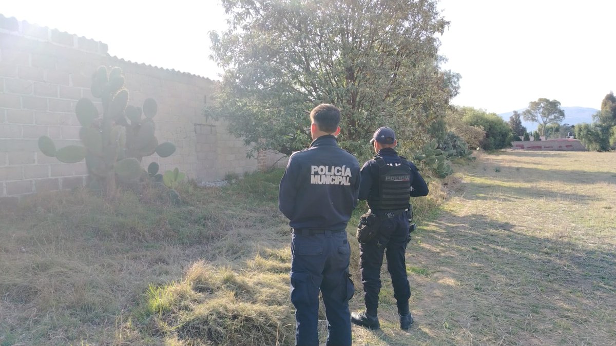 ACTUALIZACIÓN DE ACONTECIMIENTOS

No hemos detenido ningun día la búsqueda de nuestros burritos, desafortunadamente seguimos sin tener noticias de su paradero. 😓

Continuamos la búsqueda y reforzando nuestras instalaciones, les agradecemos infinitamente todo su apoyo.