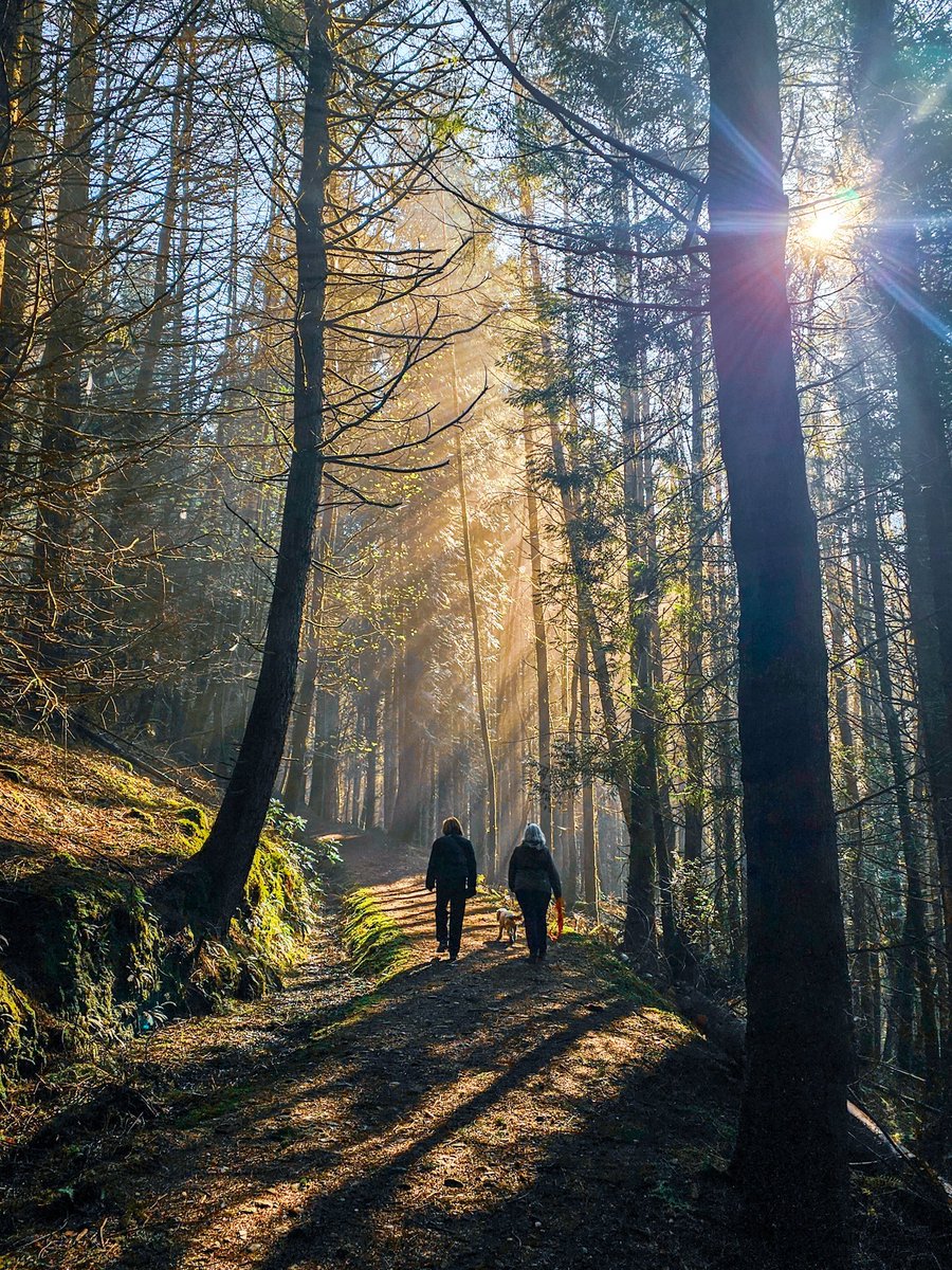 StephenAHenry's tweet image. A couple from yesterday's meander at Lochgoilhead

@KatieMagnet @WoodlandNomad 
 
#TreeClub #DukePass #Lochgoilhead #Argyll #Scotland