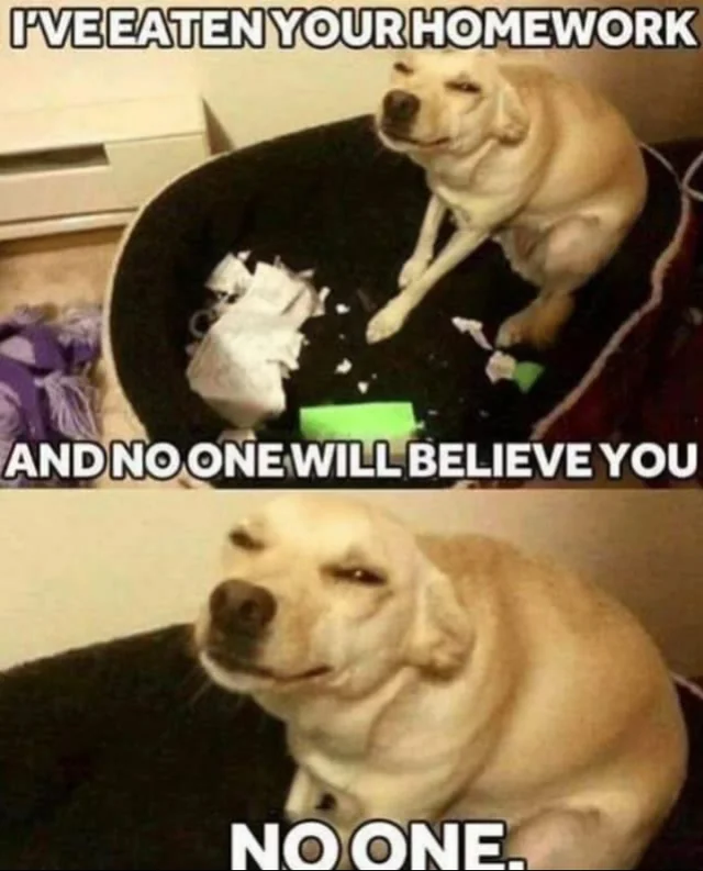WholesomeMeme's tweet photo. https://t.co/PAgb6PpVuq