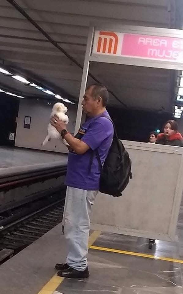 Out Of Context México (@outofcontextmex) on Twitter photo 