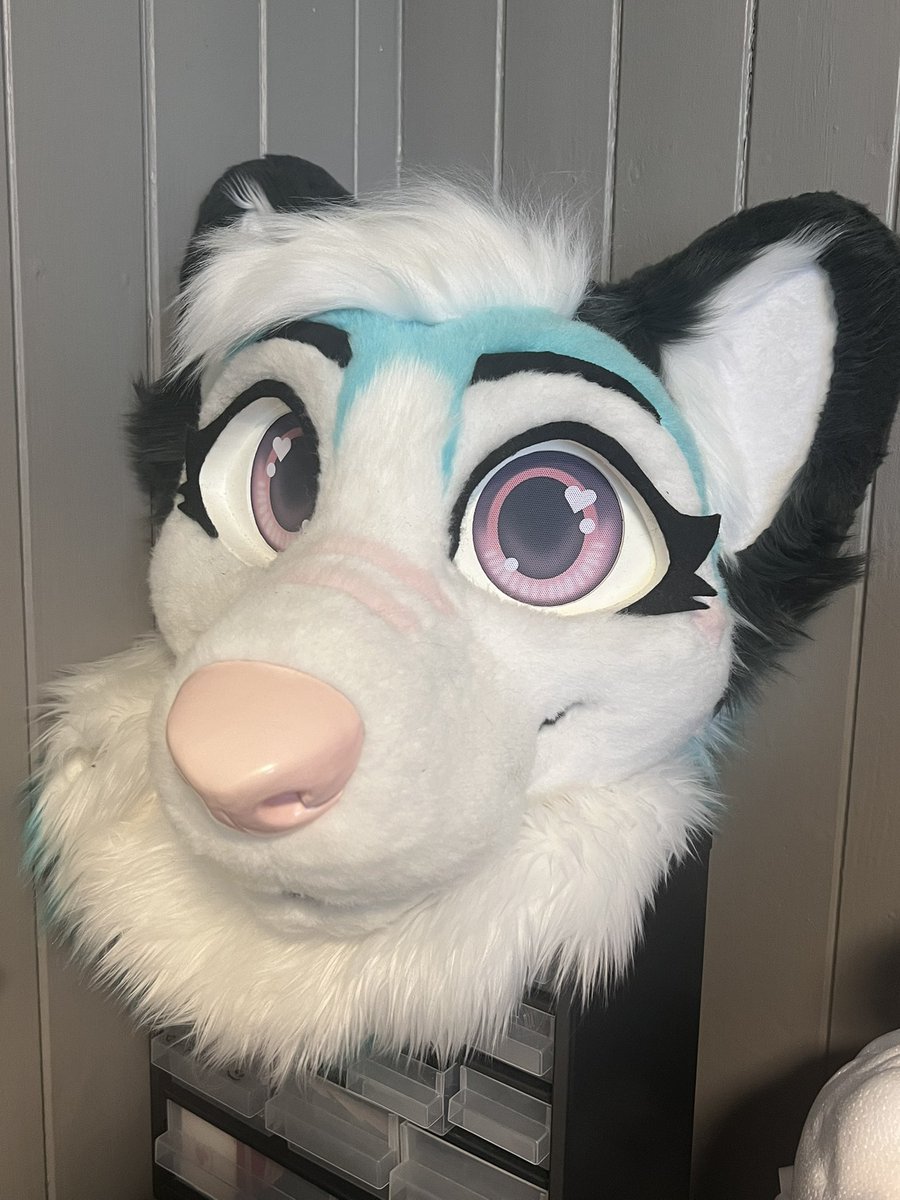 furevercreative's tweet photo. Still selling our almost brand new fursuit head with paws
More info in the link and the comments! 

https://t.co/eQ17rWBWKY https://t.co/BhlNuuYHTg
