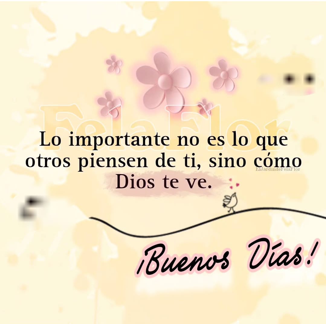 luzinramirez's tweet photo. https://t.co/2L75tl64yV
