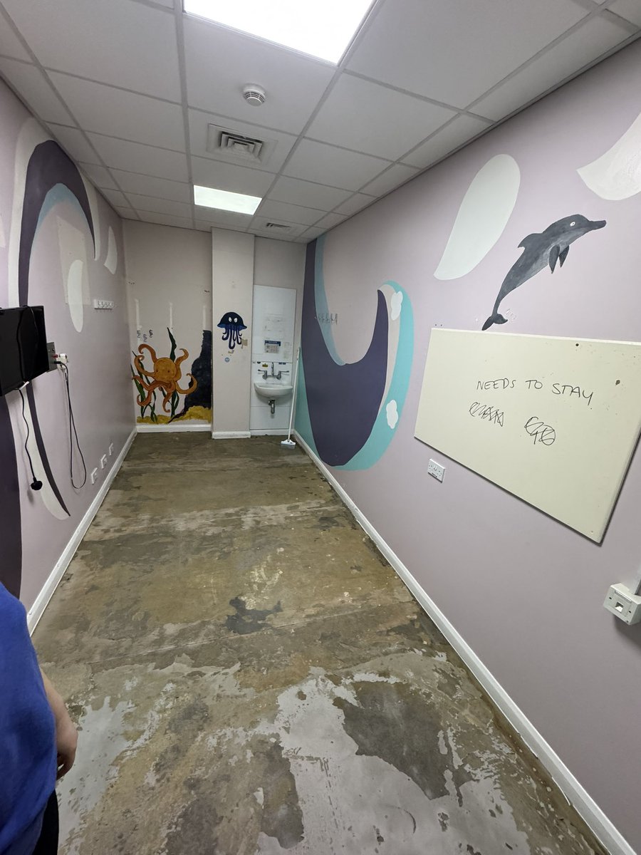 We’re well into phase 2 of the refurb! Work is well underway in Shellie’s office and Dr Lawley’s clinic room!