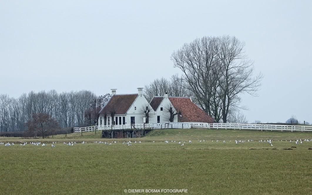 Enkele weken geleden werd ik geïnterviewd door een journalist. Ze vroeg me naar het ontstaan van Mooigrunnen®. Lang verhaal kort: de provincie Groningen op een positieve manier belichten door middel van beeld. #mooigrunnen