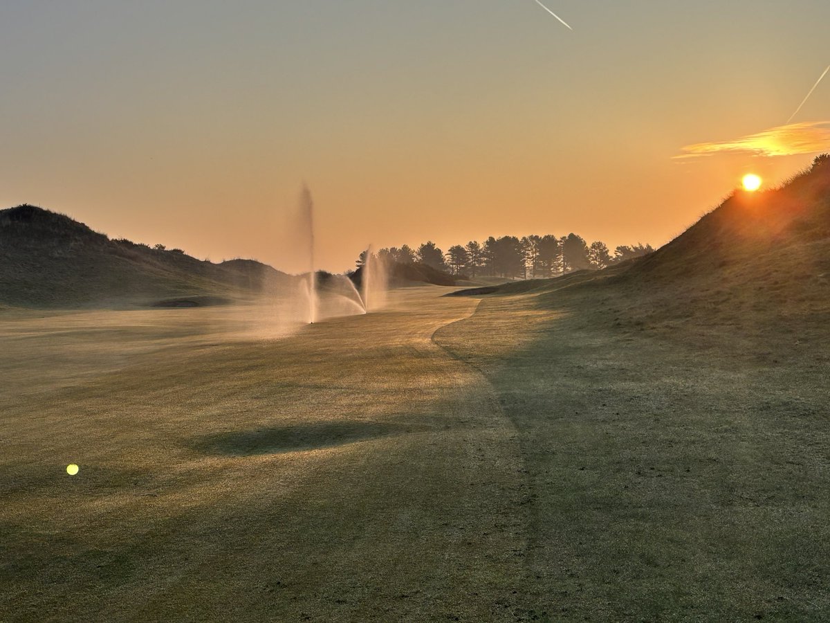 Life on the Links tweet media