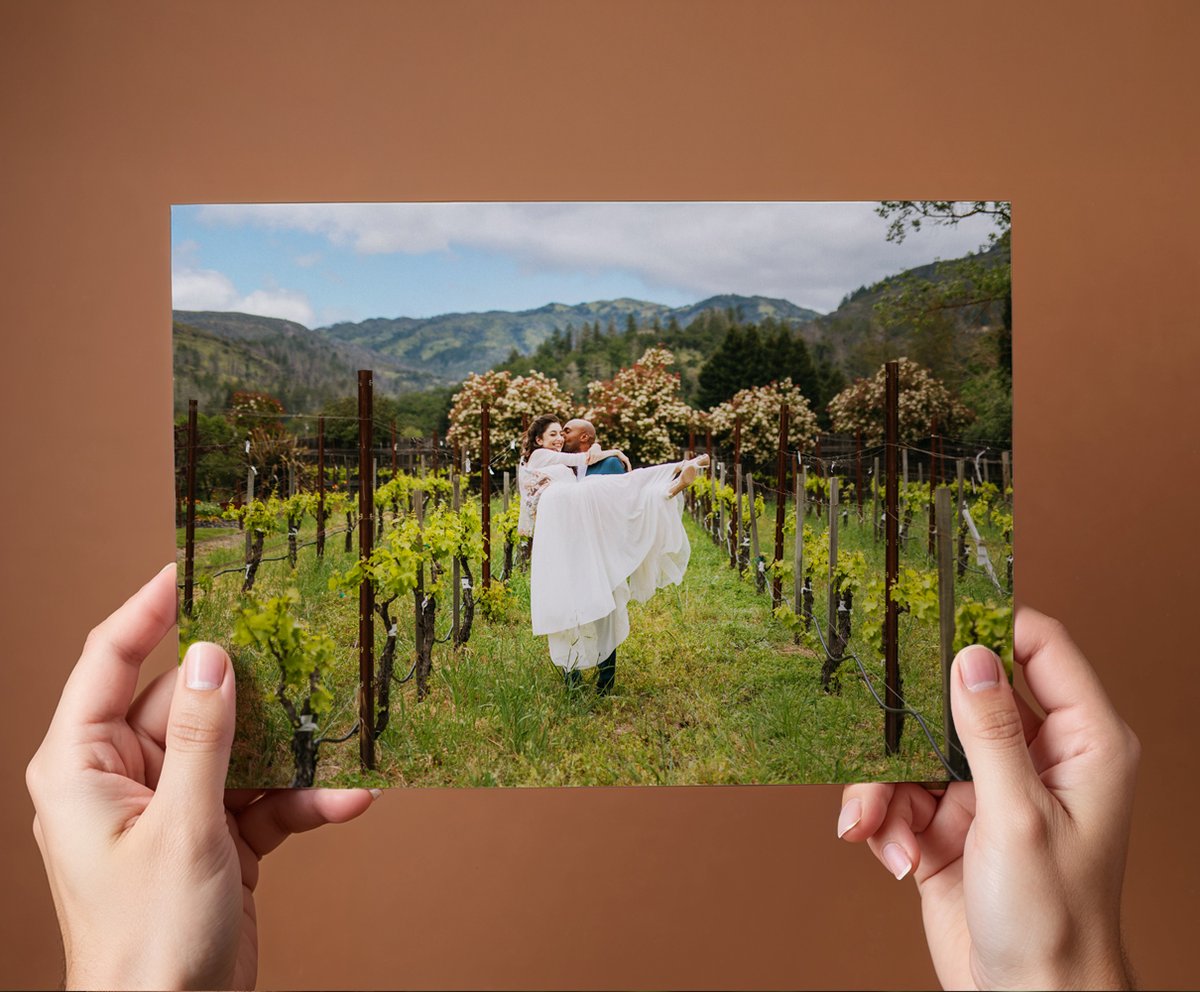 Bay Photo Lab tweet media