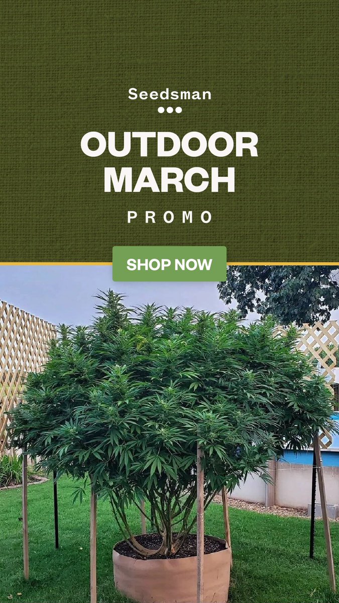Ready for outdoor season?? Want free beans?? Click here to get some!! seedsman.com/?a_aid=670d0e1… remember to use code TEAMDABZ