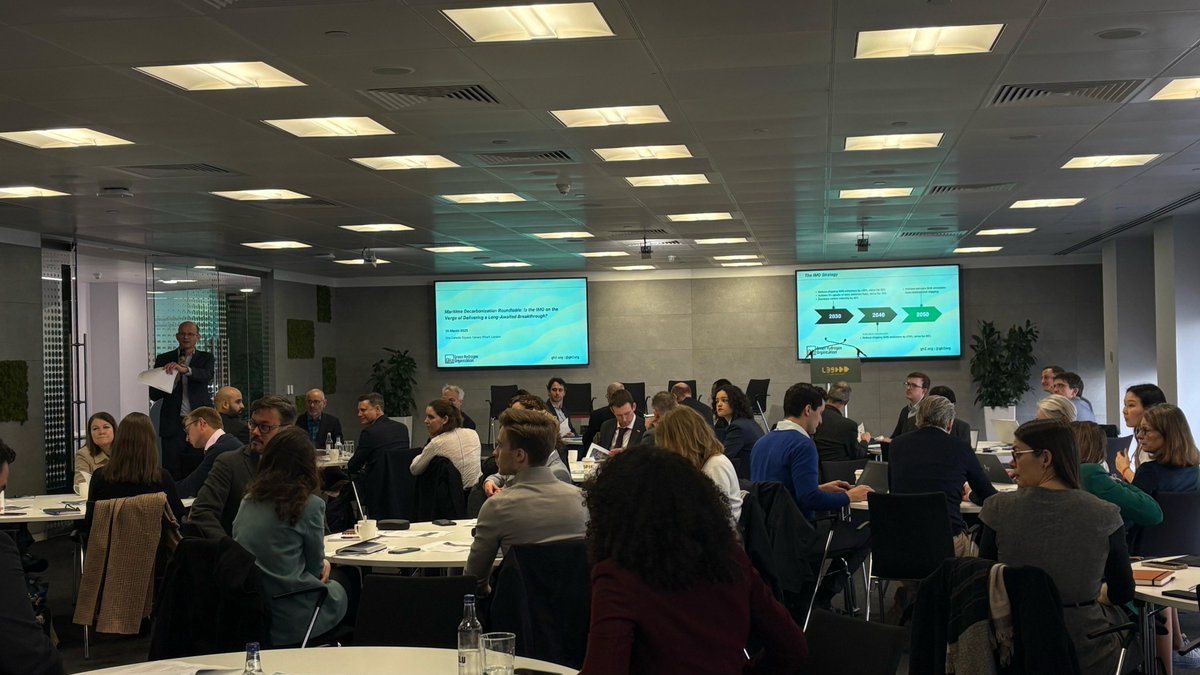 Green Hydrogen Organisation tweet media