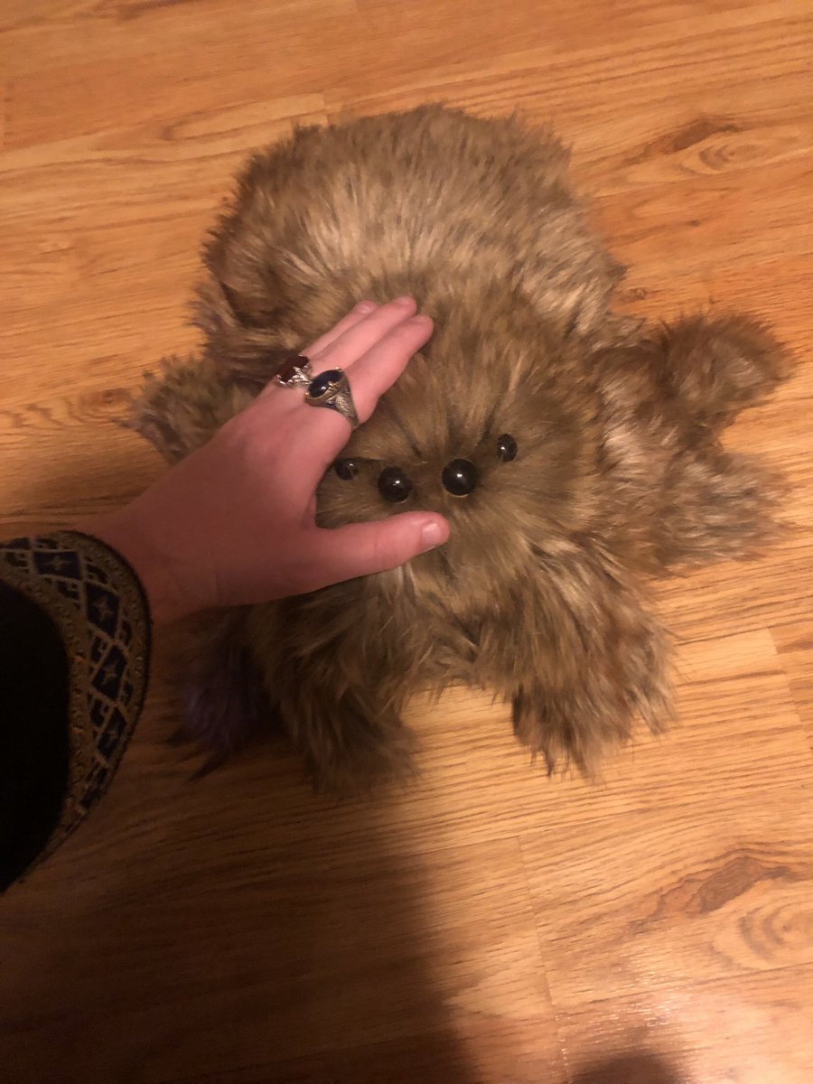 The giant spiders in the enchanted forest are free you can just take them