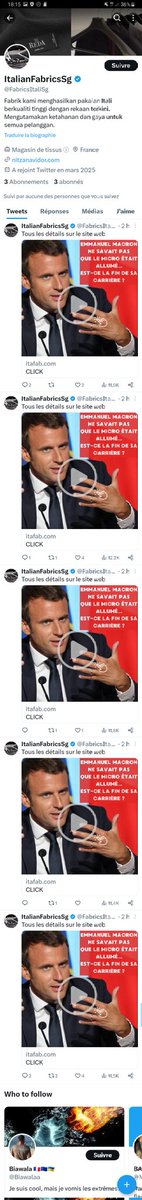 ThLeleu's tweet photo. Quelqu'un a-t-il une idée de ce que sont ces comptes qui diffusent ces liens web sur E.Macron ? https://t.co/60y5e0B3Co