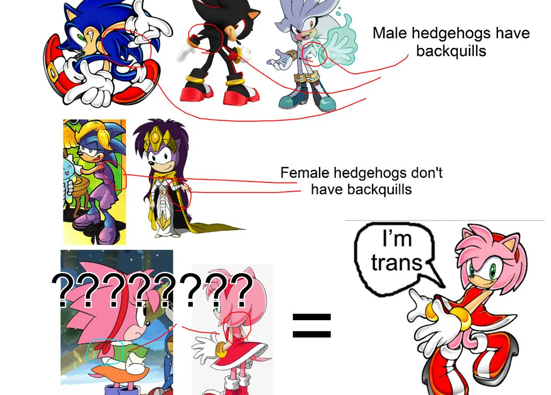 A simple explanation as to why Modern Amy has no backquills