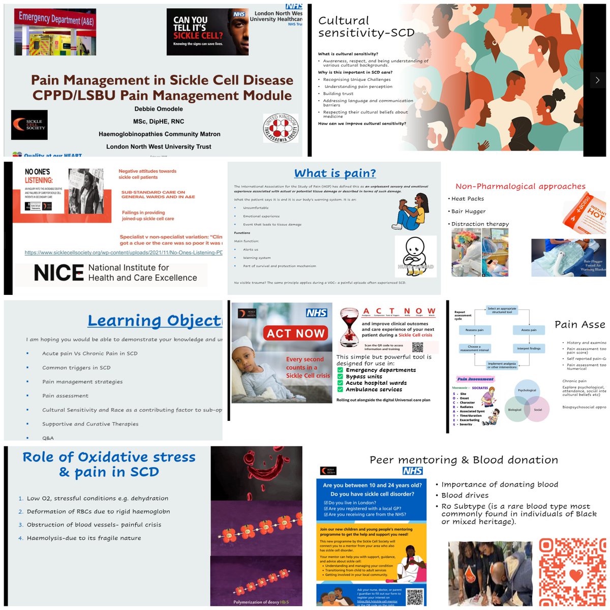 It was a pleasure to lecture NTPN on Sickle Cell management &amp; emergencies, &amp; LSBU CPPD students on pain management in #SickleCell. Essential learning for all healthcare professionals &amp; this should be standard across all higher education institutions! #closethegap #raiseawareness