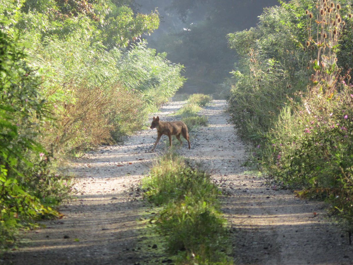 Beth Smith tweet media