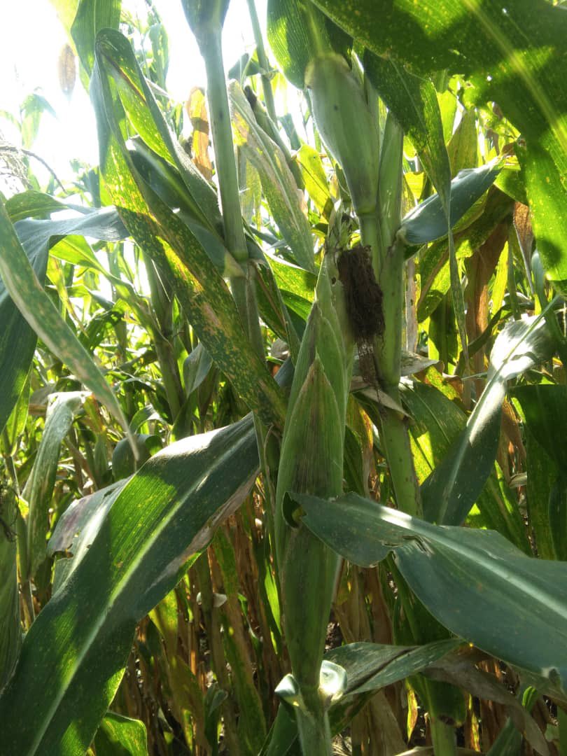 Tomorrow Sarl tweet media