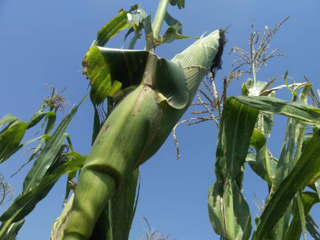 Tomorrow Sarl tweet media