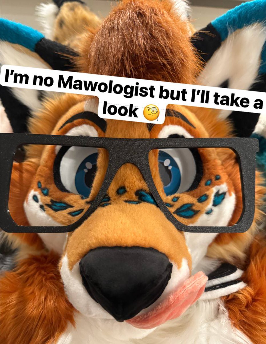 RileyTheFox_'s tweet image. 👅👀