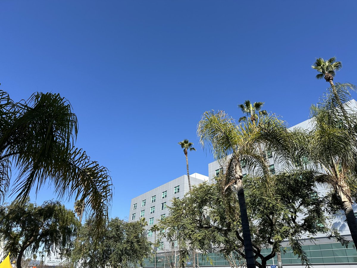 Feeling overwhelmed with #Gratitude now - grateful for a smooth OR, grateful for a kind nurse, grateful for the beautiful weather today - and grateful for good friends, caring  parents and wonderful kiddos ☺️🙏🏻💕 

#lifeisgood #MondayMotivation #family #surgery #Ophthalmology