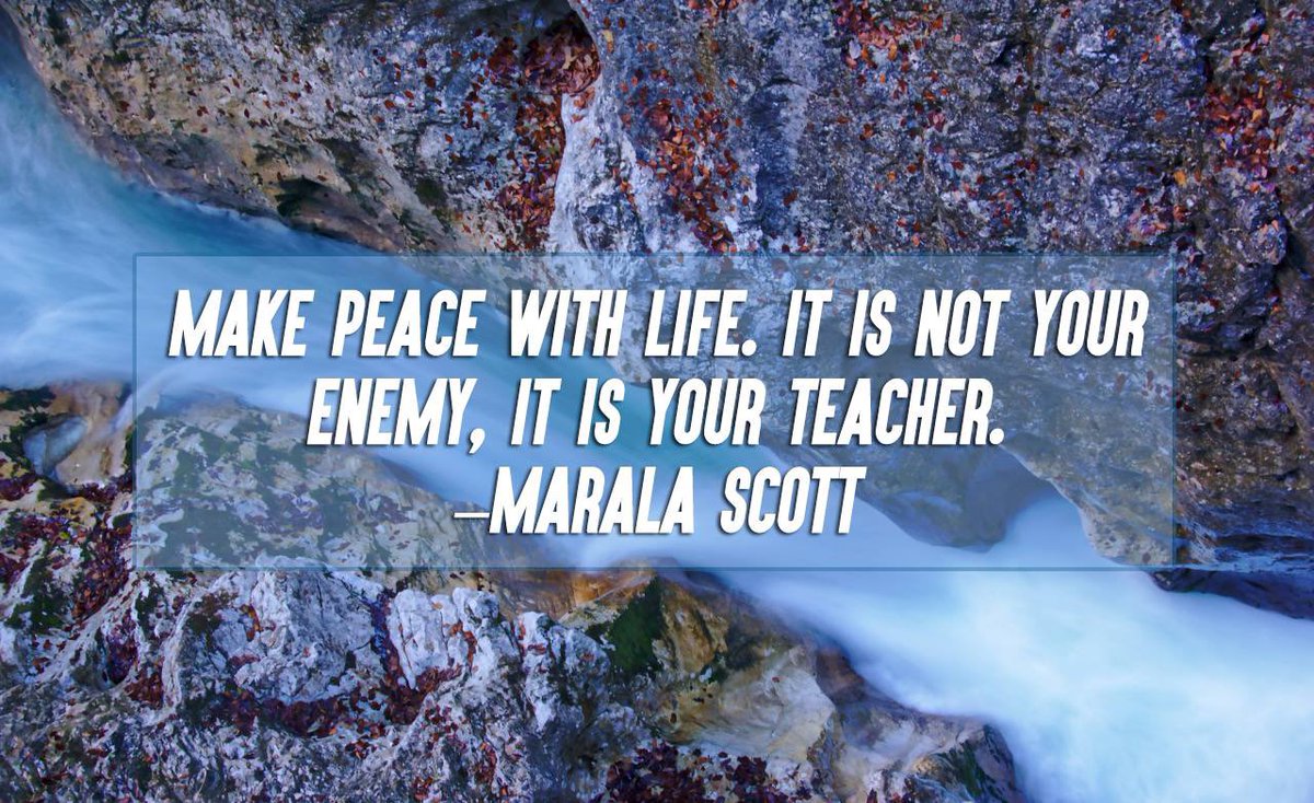 Embrace life's challenges, setbacks, and hardships as opportunities for growth rather than viewing them as adversities that will break you. Instead of resisting difficulties with anger or resentment, recognize them as lessons that build strength, wisdom, and resilience.