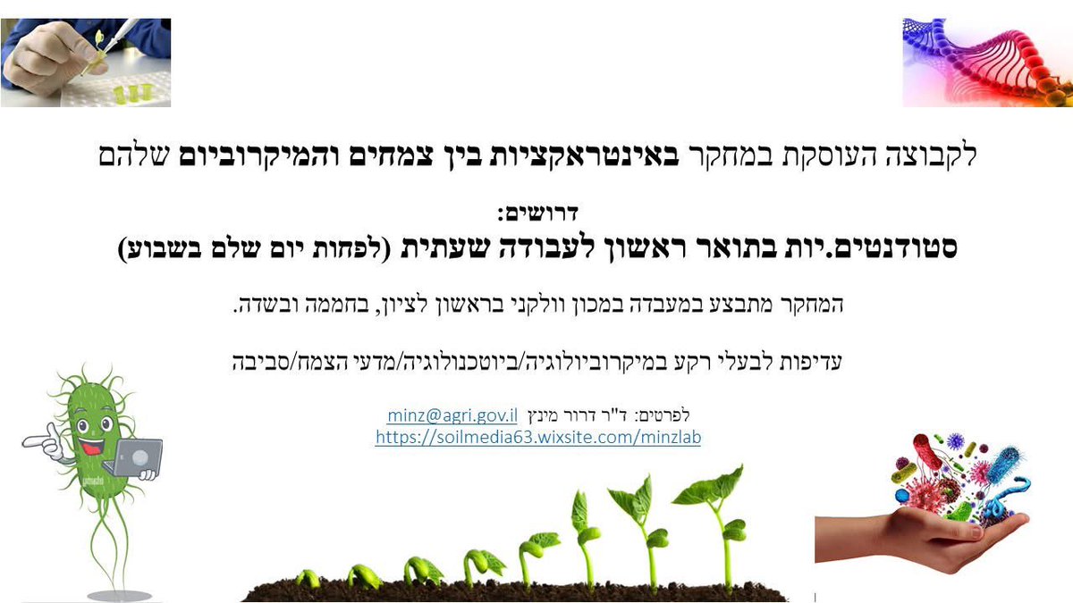 סטודנטים לתואר ראשון? בואו לעבוד איתנו!