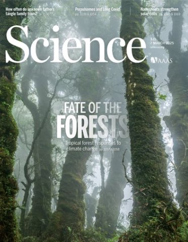 Dr Michelle Kalamandeen tweet media