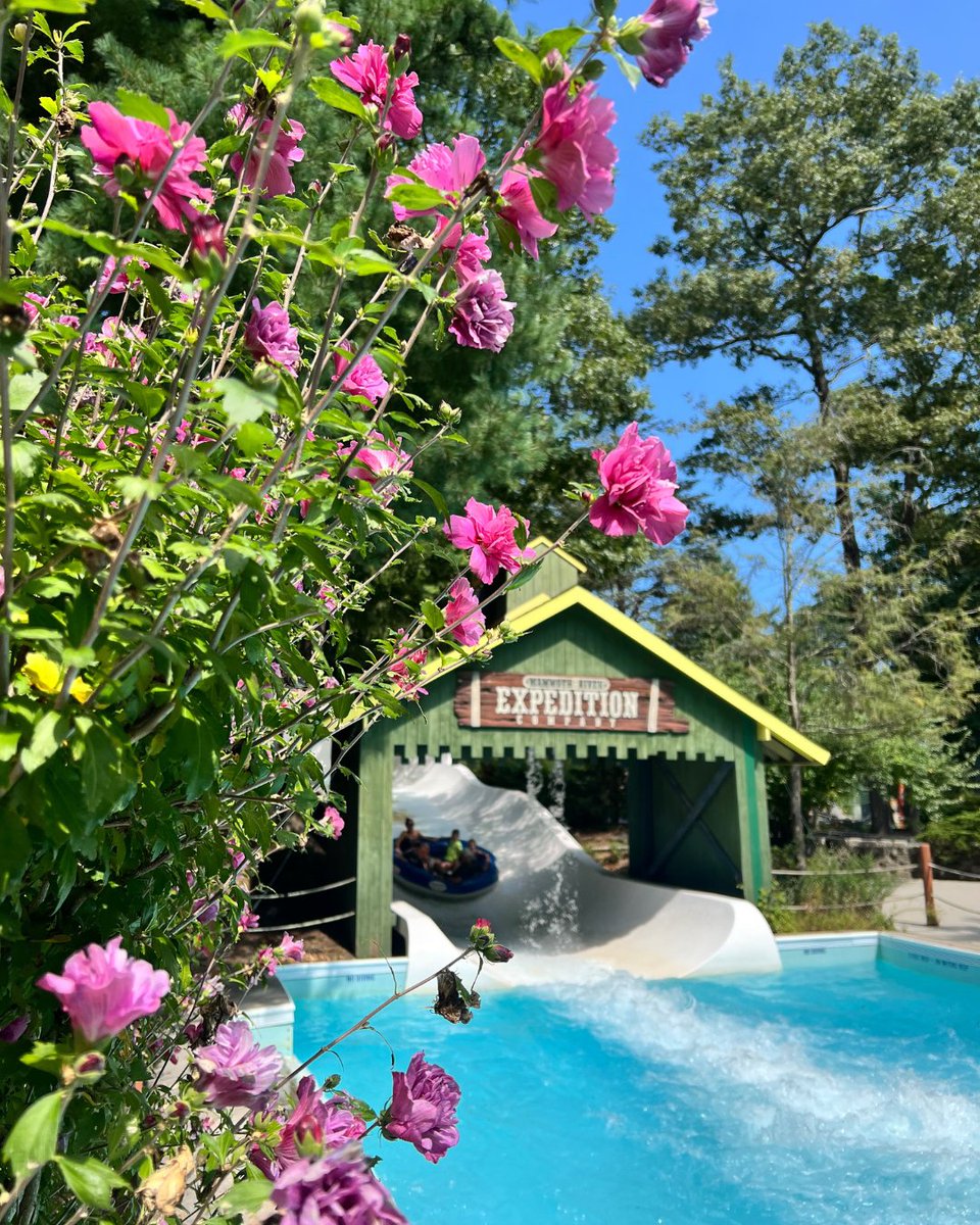 Splish Splash tweet media