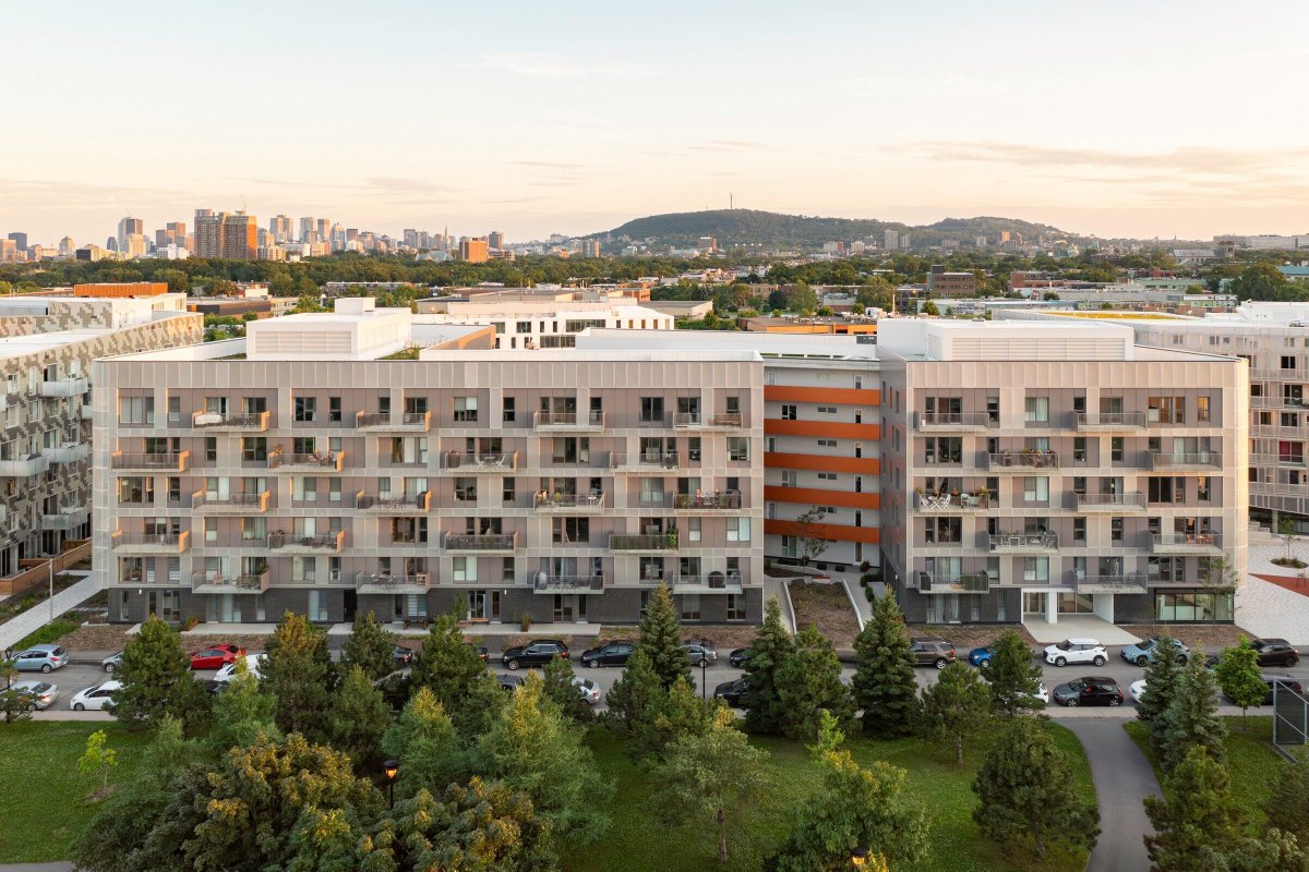 Archello's tweet image. Cité Angus II by Ædifica redefines urban living with sustainable design, diverse housing, and energy-efficient systems.
buff.ly/qhWQngq

#SustainableLiving #EcoDistrict #GreenDesign