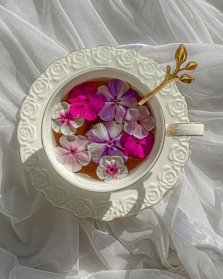 La vie est belle (@lavieestbelie) on Twitter photo 