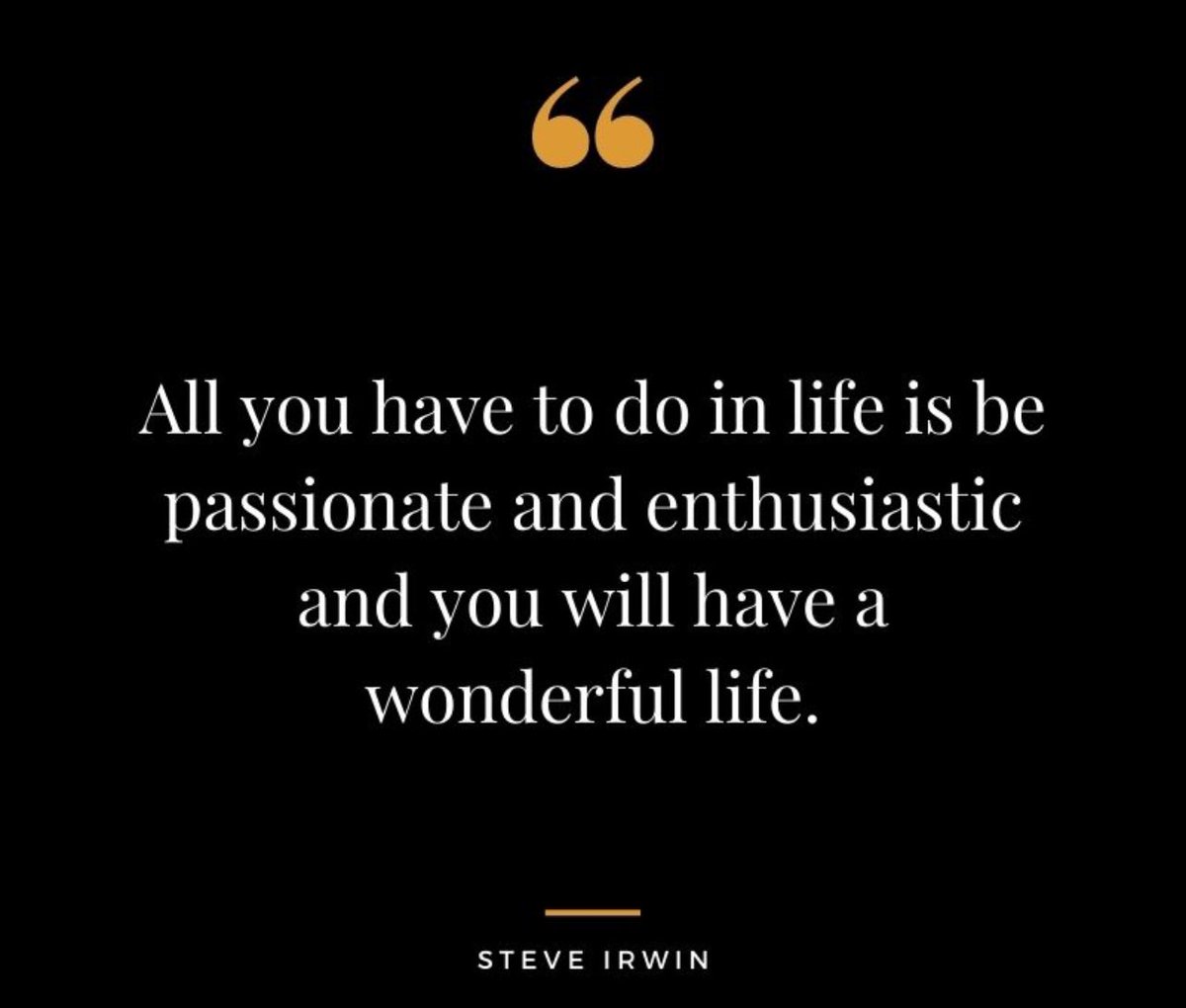 Nick Magnifico (@nickmagnifico) on Twitter photo 