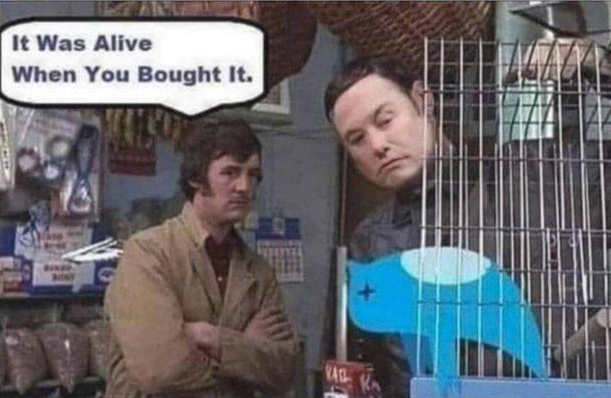 Carl Feher tweet media