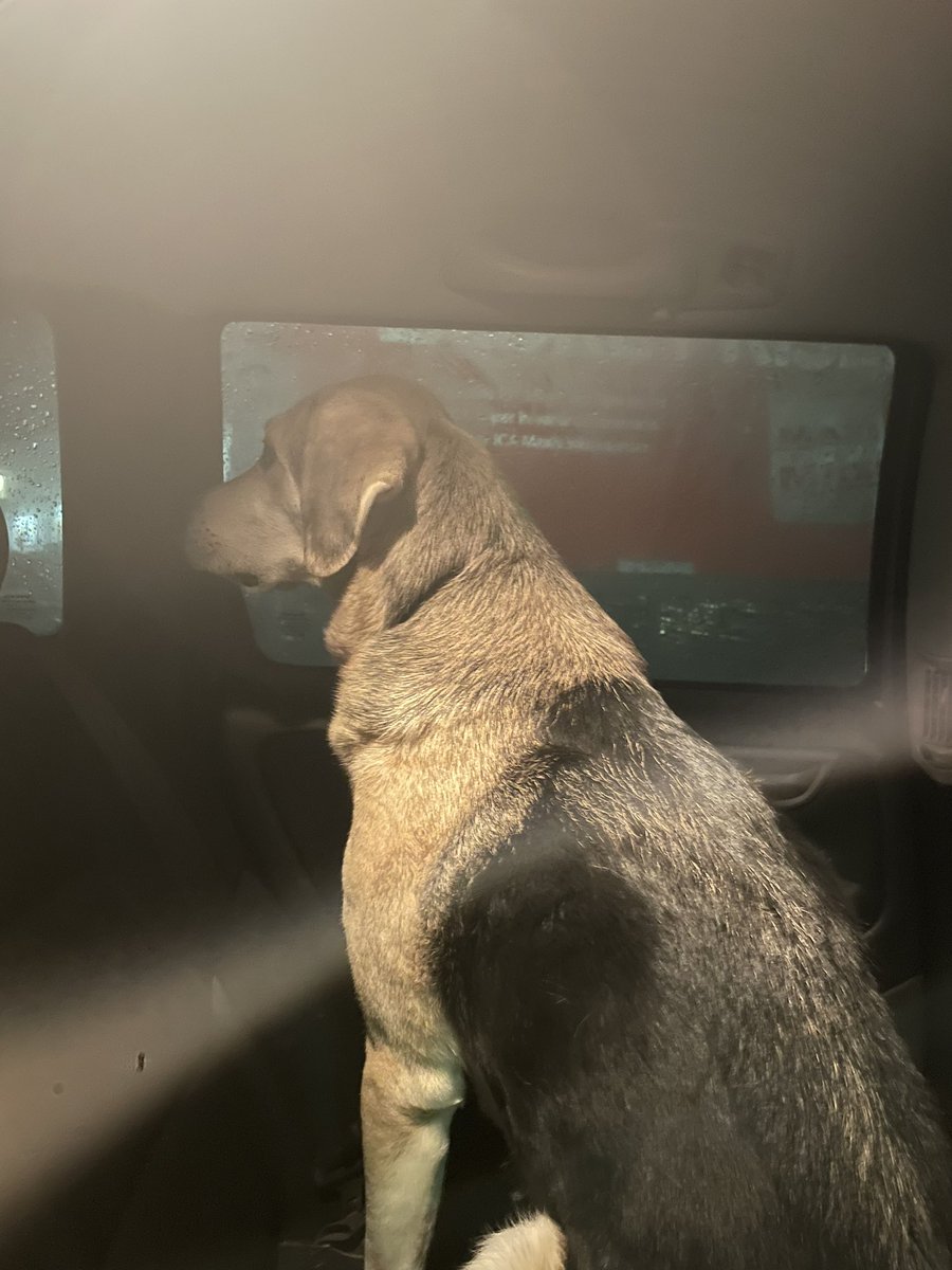 whattttkdwjdk's tweet image. W