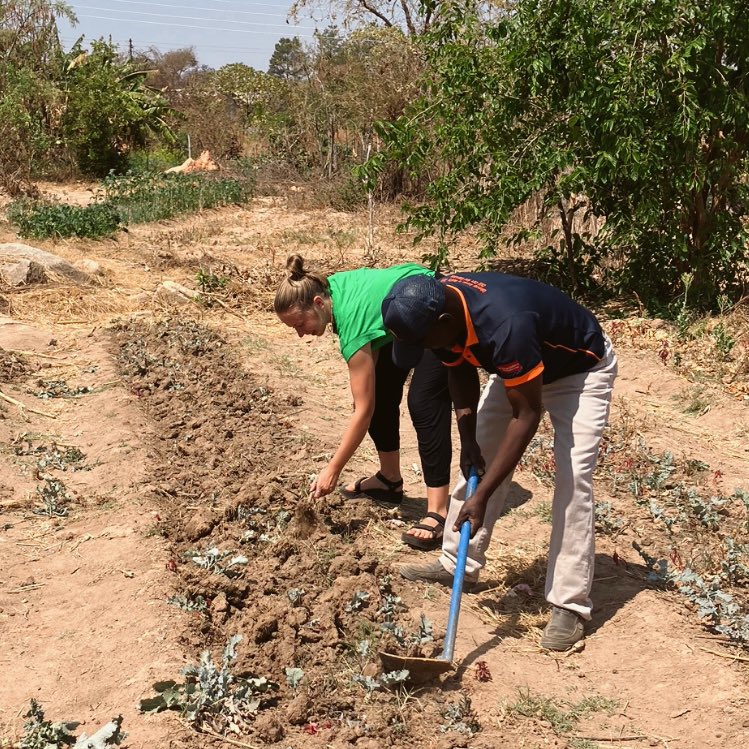 NhakaFoundation's tweet image. Program Summaries: Volunteering! Volunteers get hands-on experience in a variety of Zimbabwe-based projects and activities, all locally led and operated. By hoping on a volunteer team, you are providing encouragement, insight, and direct support to schools and their children!
